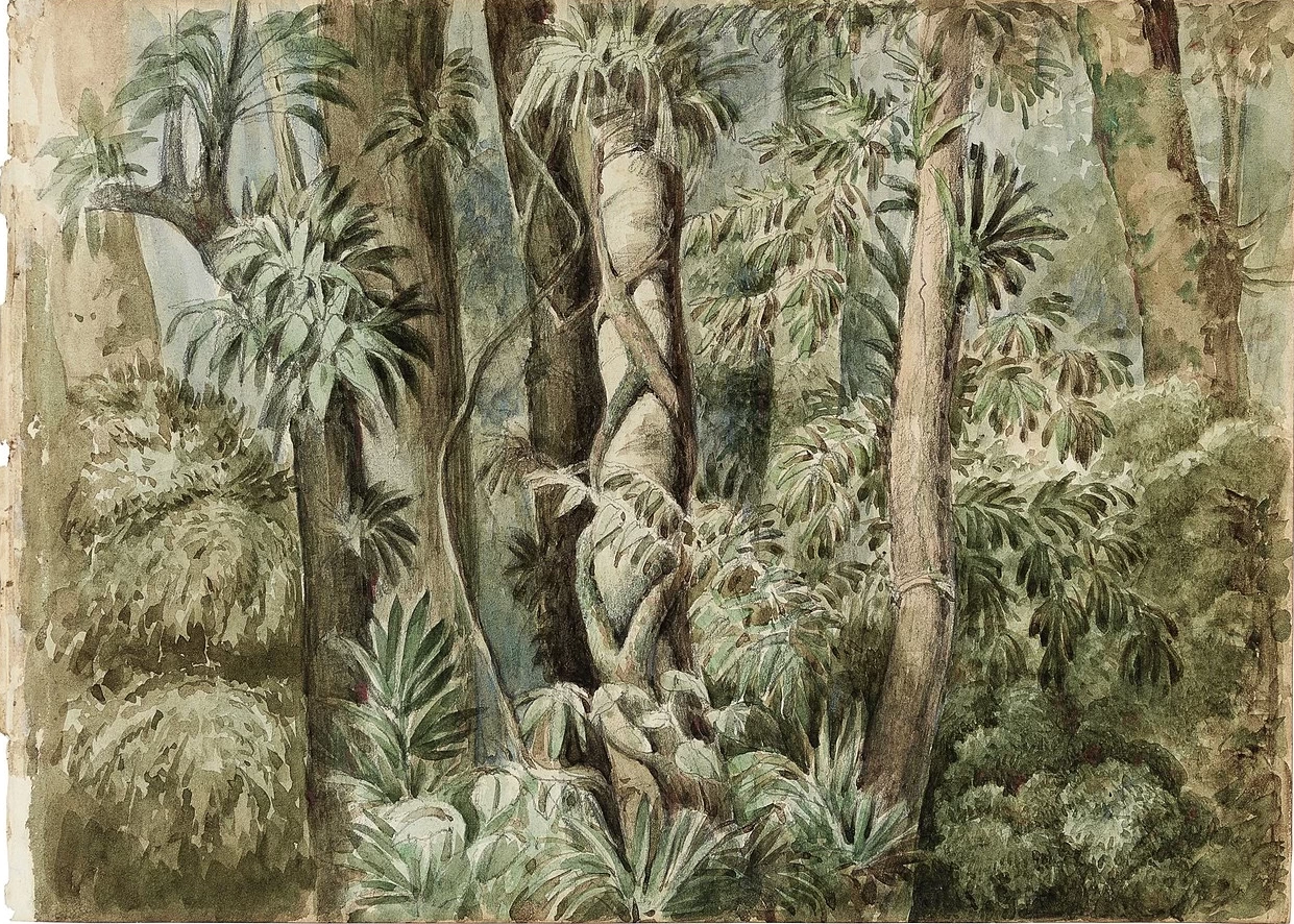 Manuel de Araújo Porto - Alegre, Foresta selvaggia